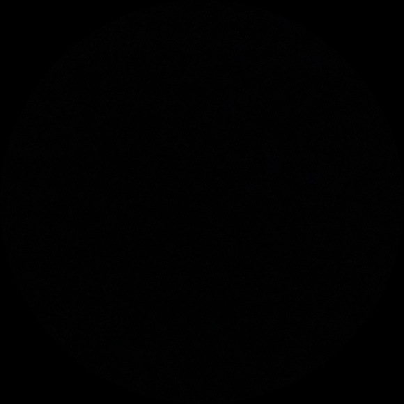 Meet your Posher, Bianca - Picture 1 of 1